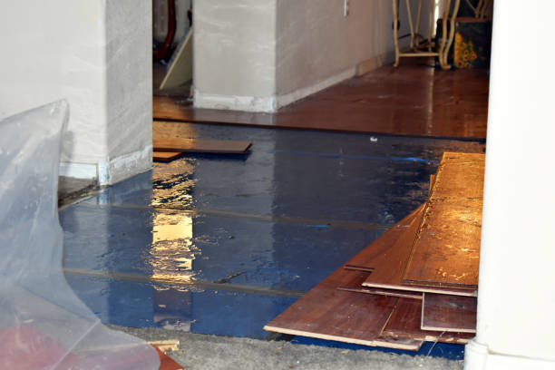 Professional Water Extraction technician working in Baldwin, MI